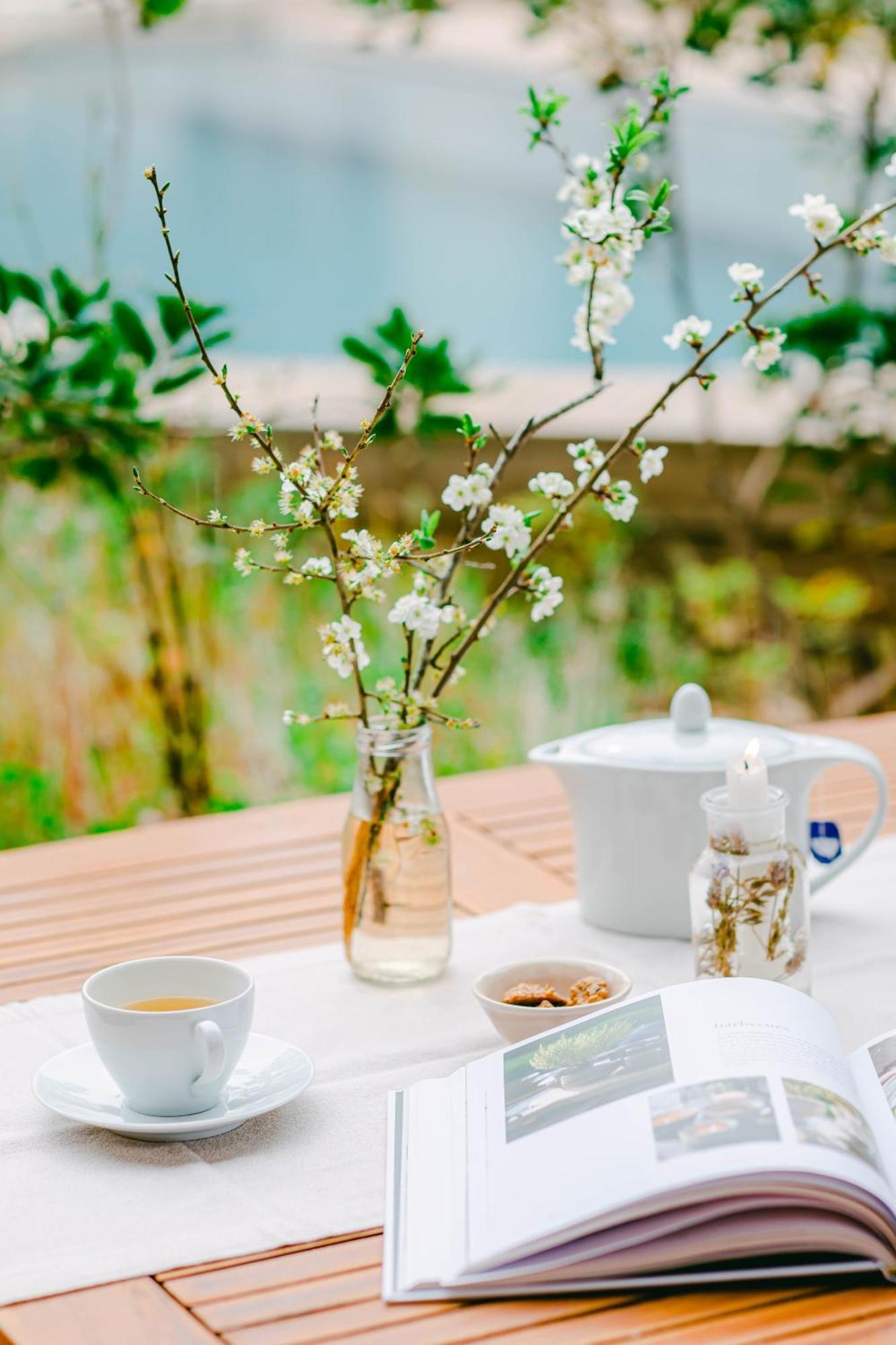 The Nest By Cooking And Nature 알바도스 외부 사진
