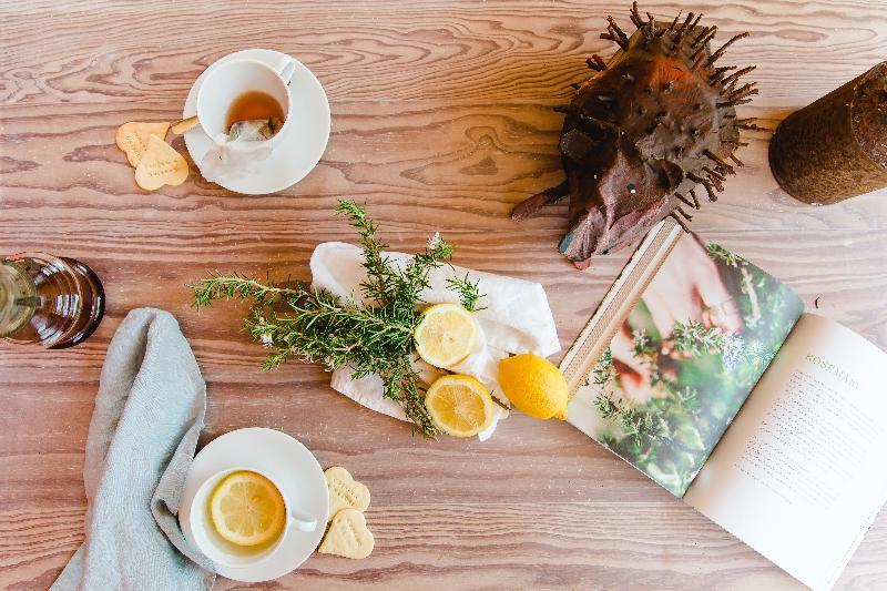The Nest By Cooking And Nature 알바도스 외부 사진